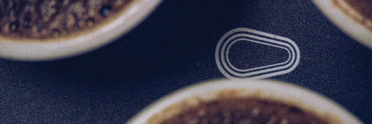 Roast Approach: Roast Phases For Profile Development