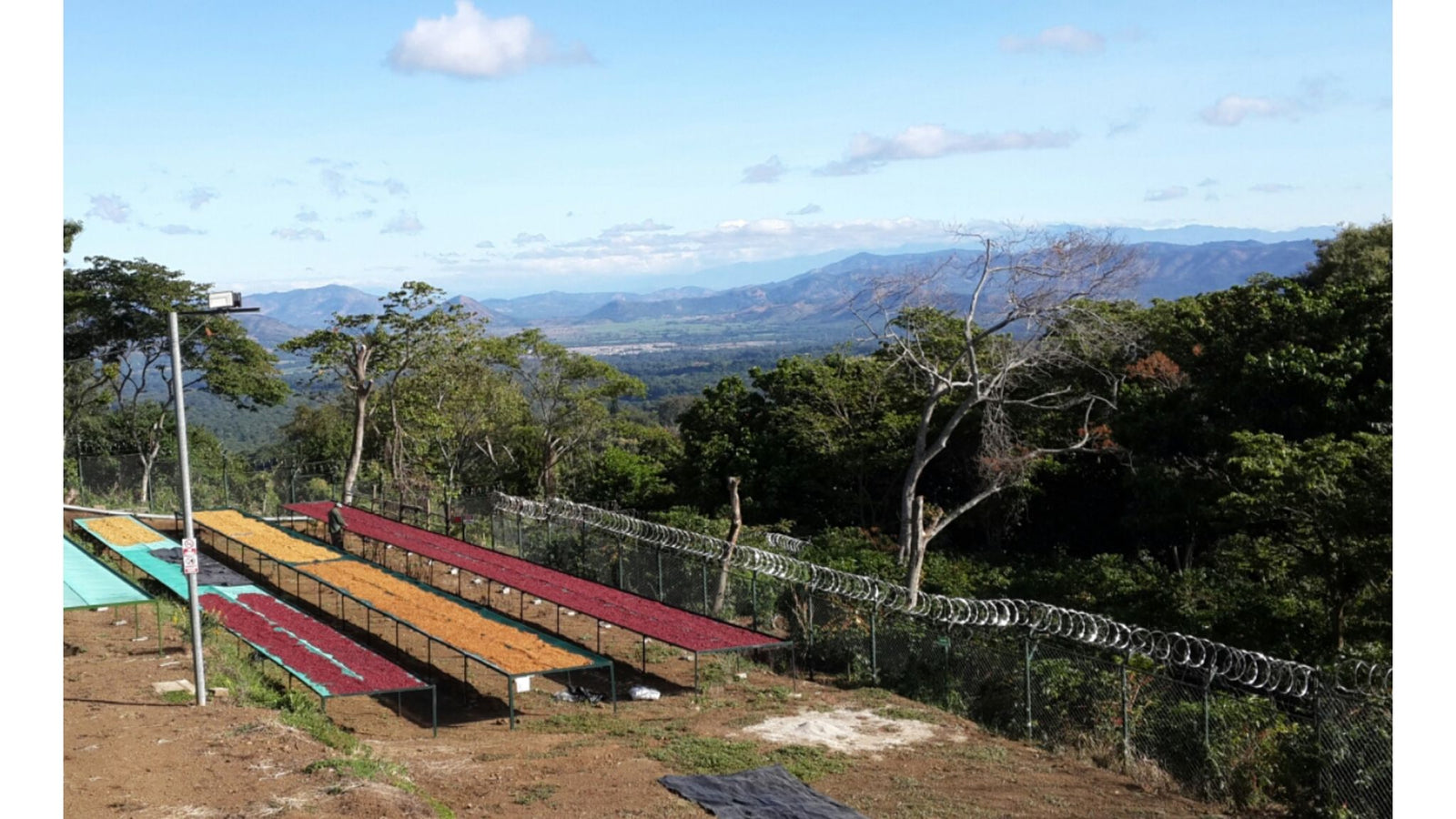 El Salvador Container 01 - ETA July 2024