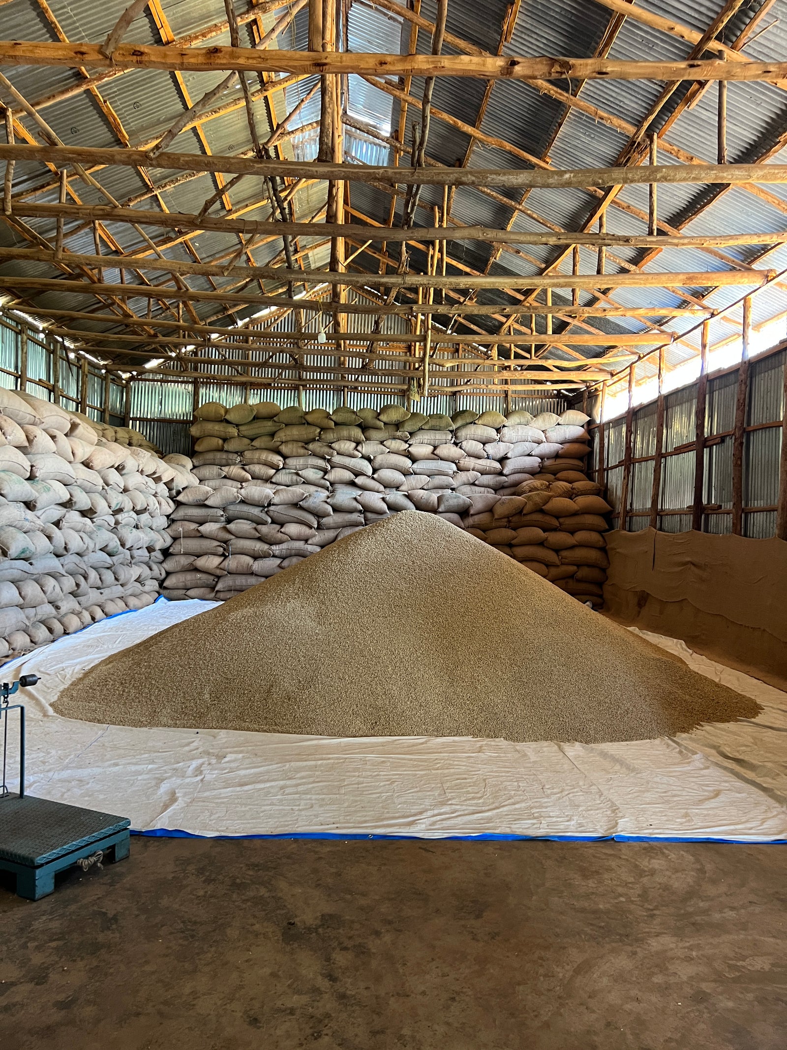 Ethiopia Container 03 - ETA August 2024