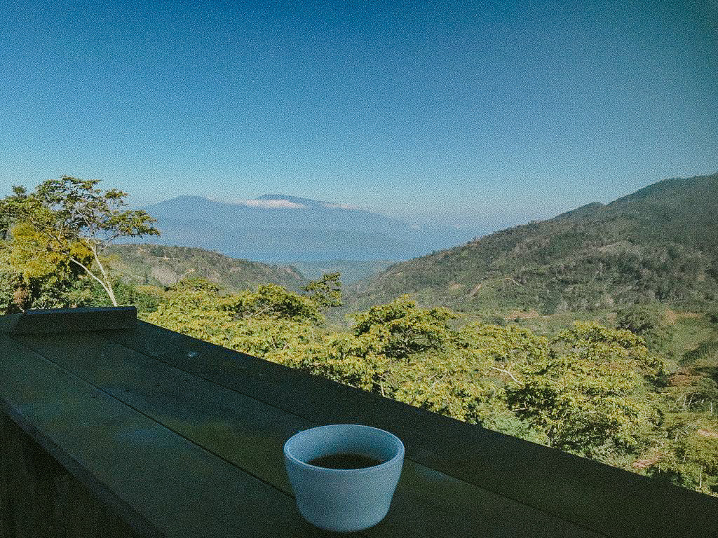 Drying coffee