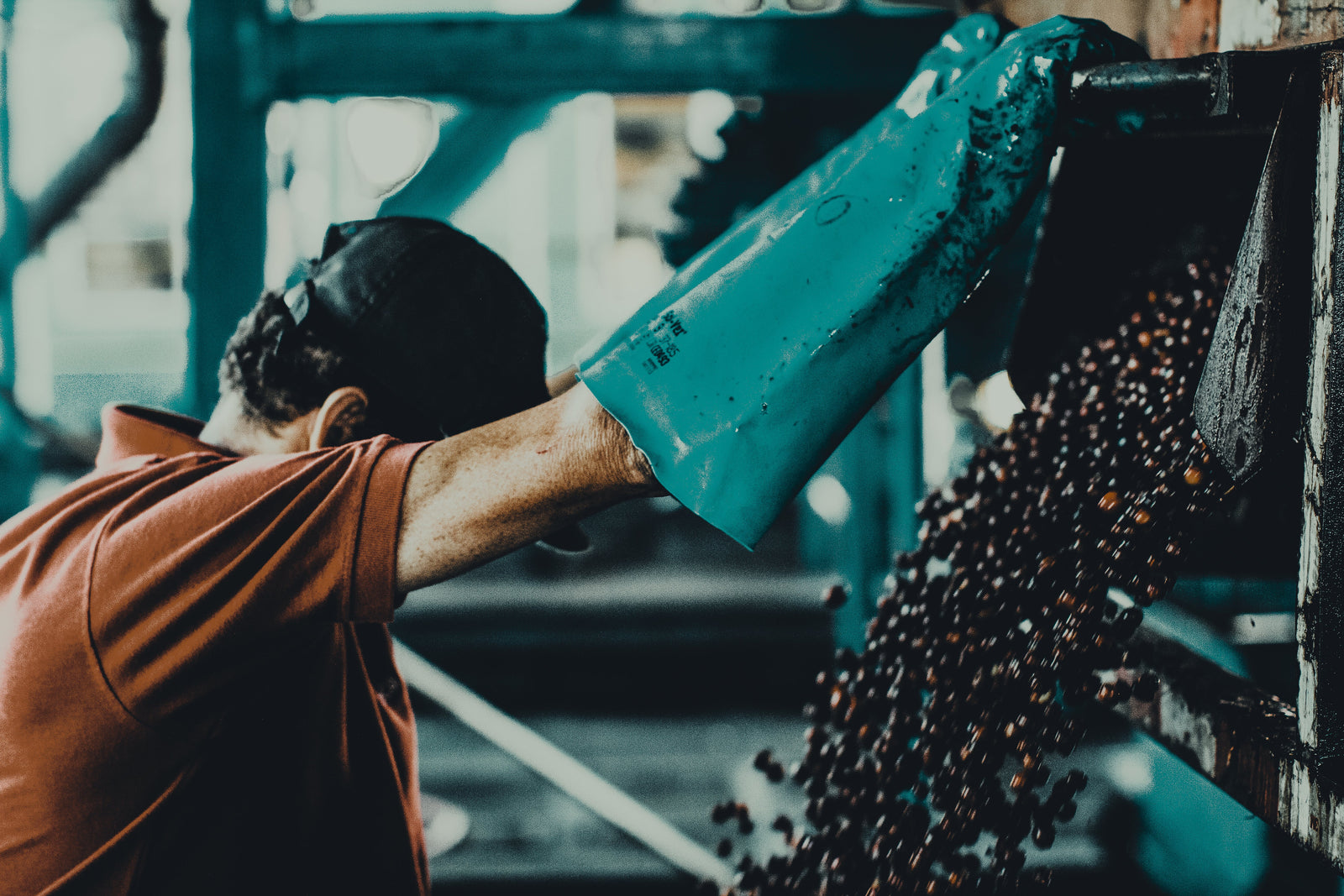 Coffee cherries at a coffee mill