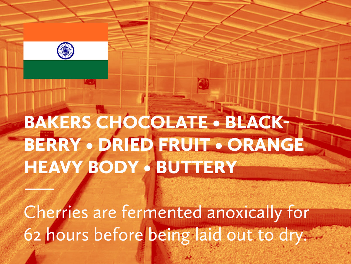 An orange-toned interior shot of a large drying room with rows of trays containing dried fruit. A small Indian flag graphic appears in the top-left corner, and large white text lists product variants including Bakers Chocolate, Blackberry, Dried Fruit, Orange, Heavy Body, and Buttery.