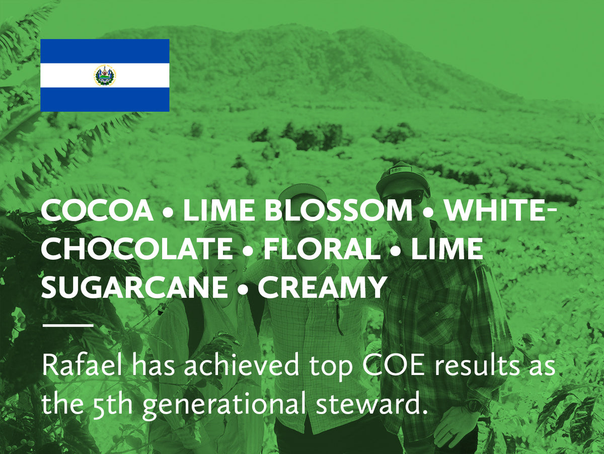 Coffee infographic with tasting notes and El Salvador flag on a green background.
