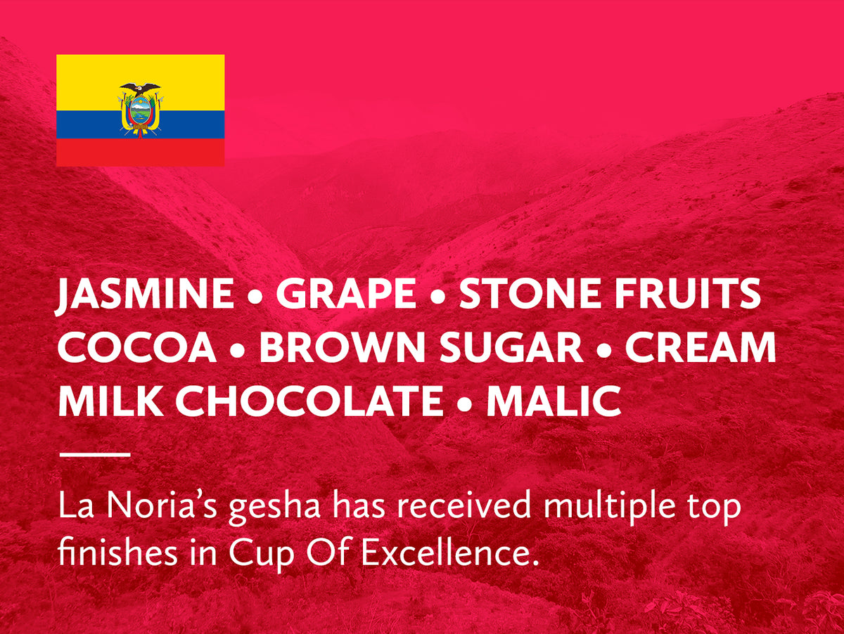 Coffee infographic with tasting notes and Ecuadorian flag on a red background. 