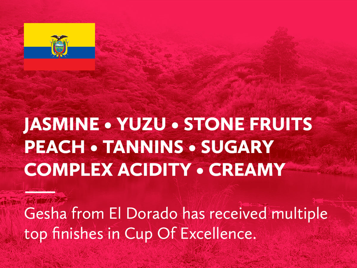 Coffee infographic with tasting notes and Ecuadorian flag on a red background.