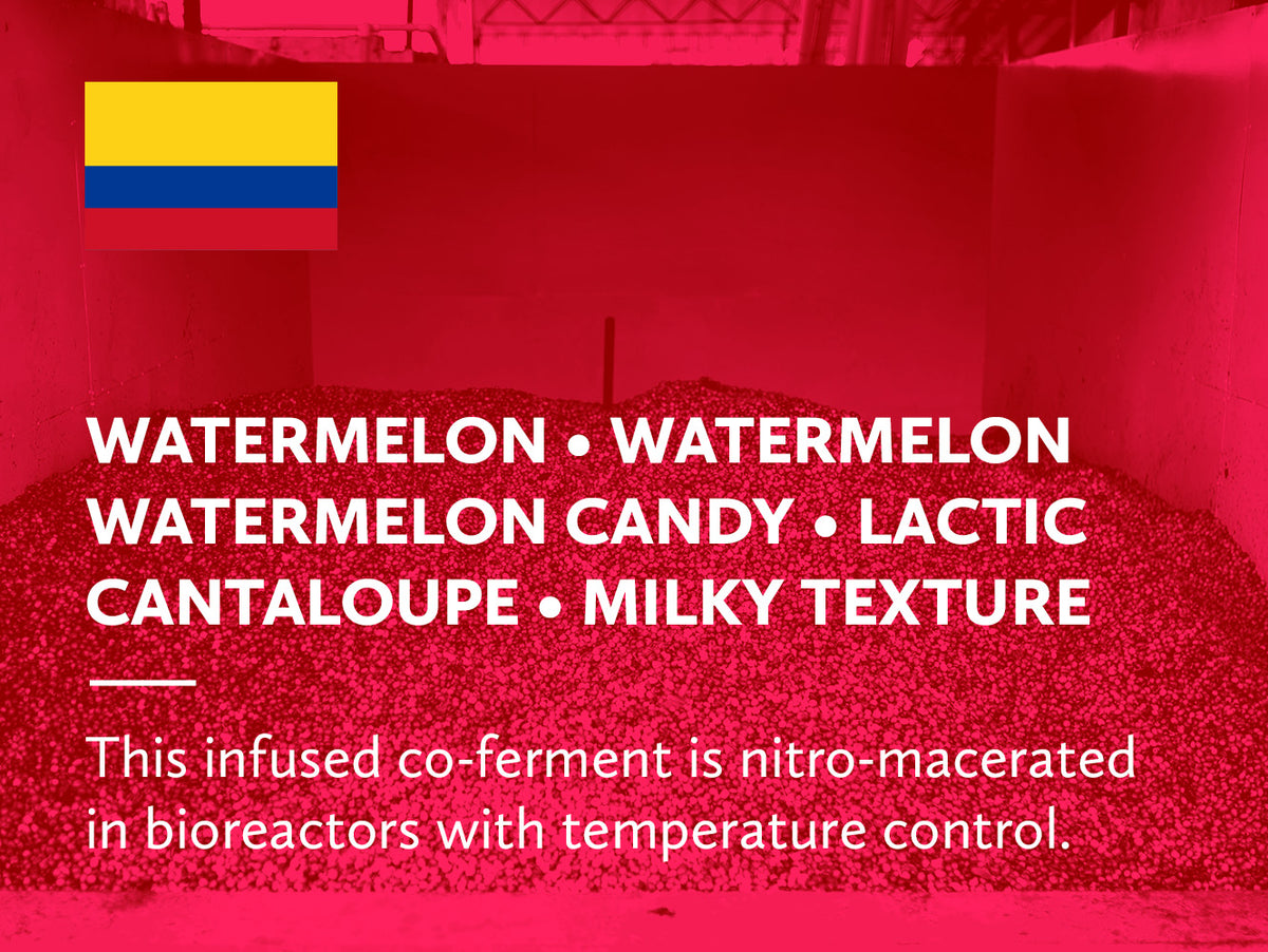 A coffee infographic with a red-tinted background showing a pile of textured fruit pieces and bioreactor tanks, overlaid with a Colombian flag and large white text naming flavors and product type: watermelon, watermelon candy, lactic cantaloupe, and milky texture.