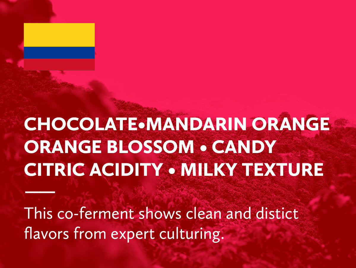 A coffee infographic with a red background, a small Colombian flag in the top left, and large white text describing flavor notes: chocolate, mandarin orange, orange blossom, candy citric acidity, and creamy texture. A red-tinted landscape photo appears faintly in the background.