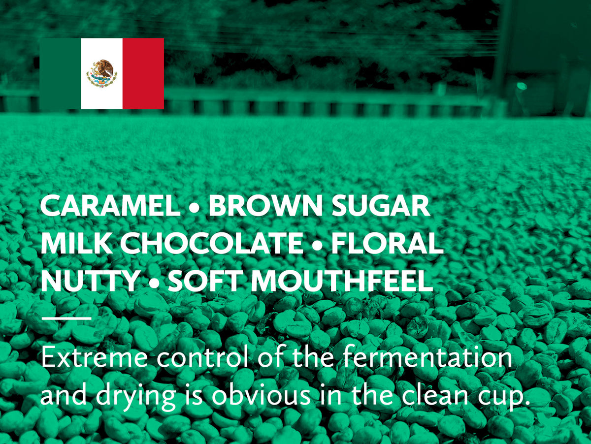 A green-tinted close-up of drying parchment coffee with a Mexican flag graphic in the top-left corner and large white text listing flavor notes: caramel, brown sugar, milk chocolate, floral nutty, and soft mouthfeel. Smaller text below reads: 'Extreme control of the fermentation and drying is obvious in the clean cup.