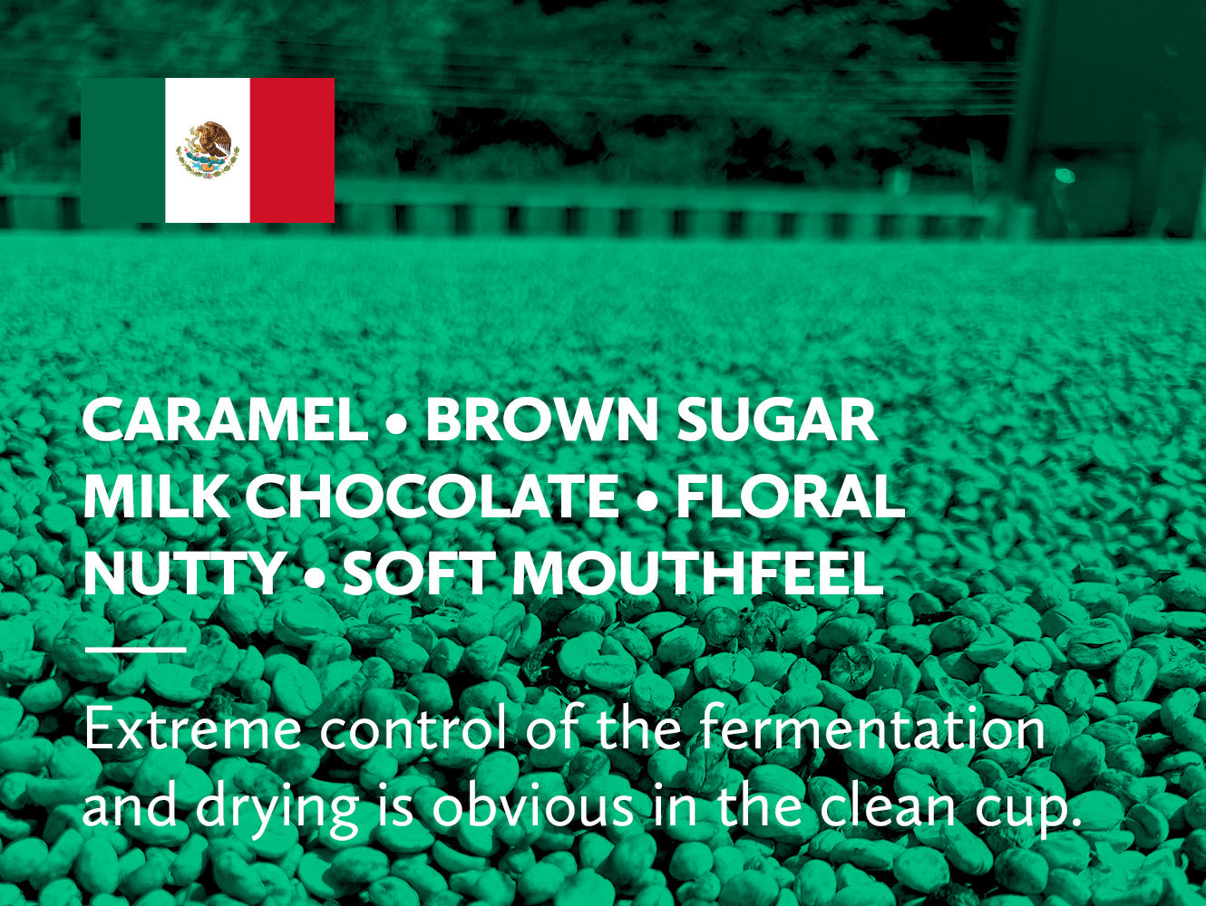 A green-tinted close-up of drying parchment coffee with a Mexican flag graphic in the top-left corner and large white text listing flavor notes: caramel, brown sugar, milk chocolate, floral nutty, and soft mouthfeel. Smaller text below reads: 'Extreme control of the fermentation and drying is obvious in the clean cup.