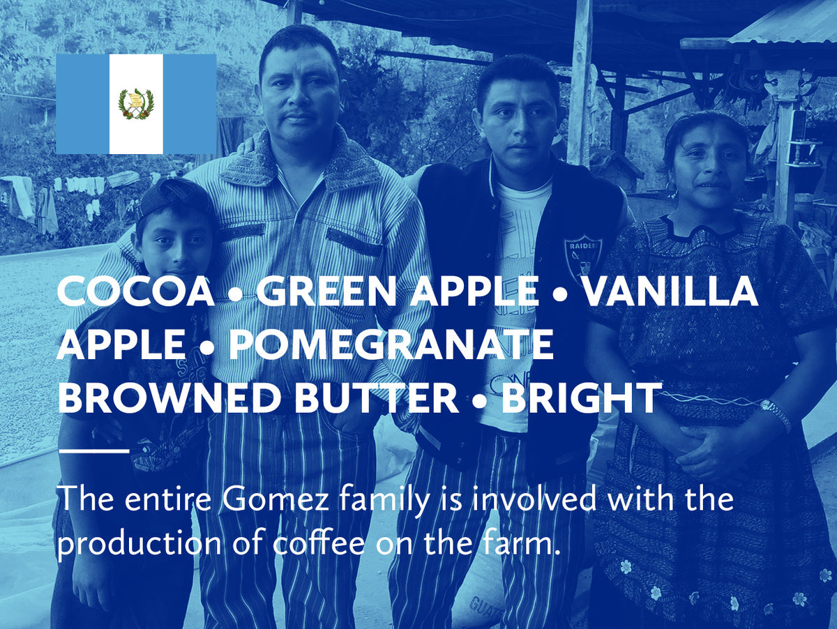 A blue-toned coffee infographic with four people standing outdoors in front of a rustic structure, with a Guatemalan flag in the top-left corner and large white text listing coffee flavor notes: cocoa, green apple, vanilla apple, pomegranate, browned butter, and bright.