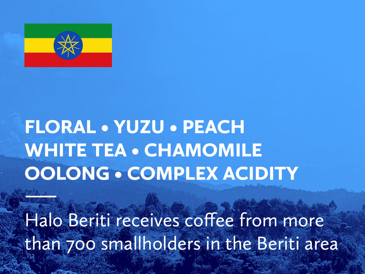 Coffee infographic with tasting notes and Ethiopian flag on a blue background.
