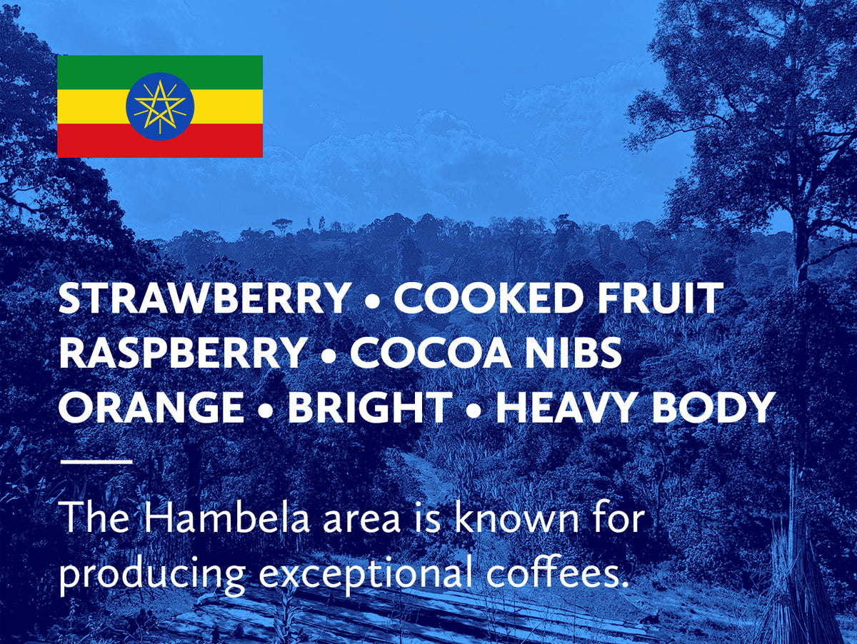A blue-toned coffee origin graphic with a small Ethiopian flag in the top left, large white text listing flavor notes including strawberry, cooked fruit, raspberry, cocoa nibs, orange, bright, and heavy body, plus a quote about Hambela coffee production.