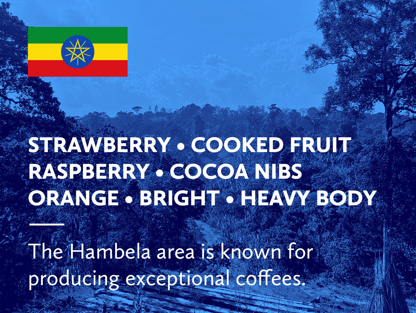 A blue-toned coffee origin graphic with a small Ethiopian flag in the top left, large white text listing flavor notes including strawberry, cooked fruit, raspberry, cocoa nibs, orange, bright, and heavy body, plus a quote about Hambela coffee production.