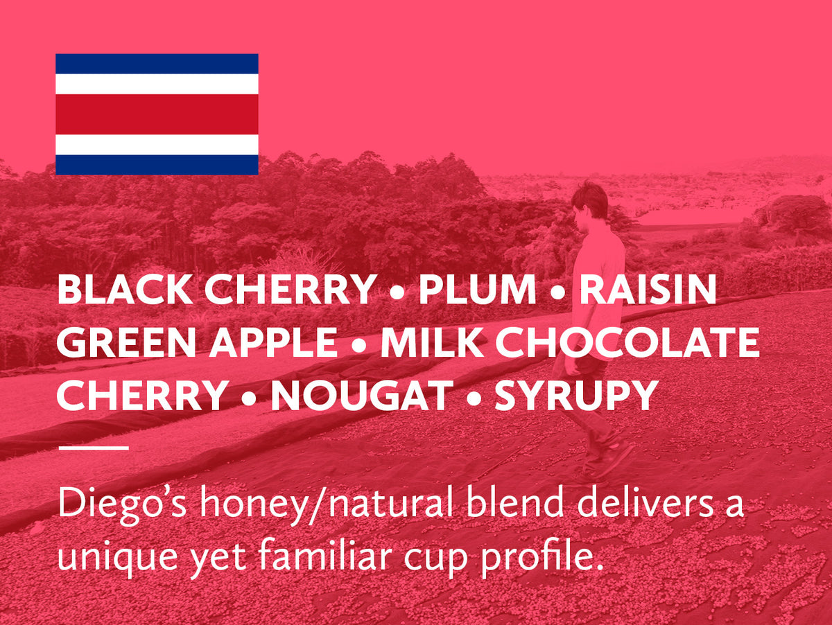 Costa Rica Hacienda Sonora Diego Guardia Honey Natural