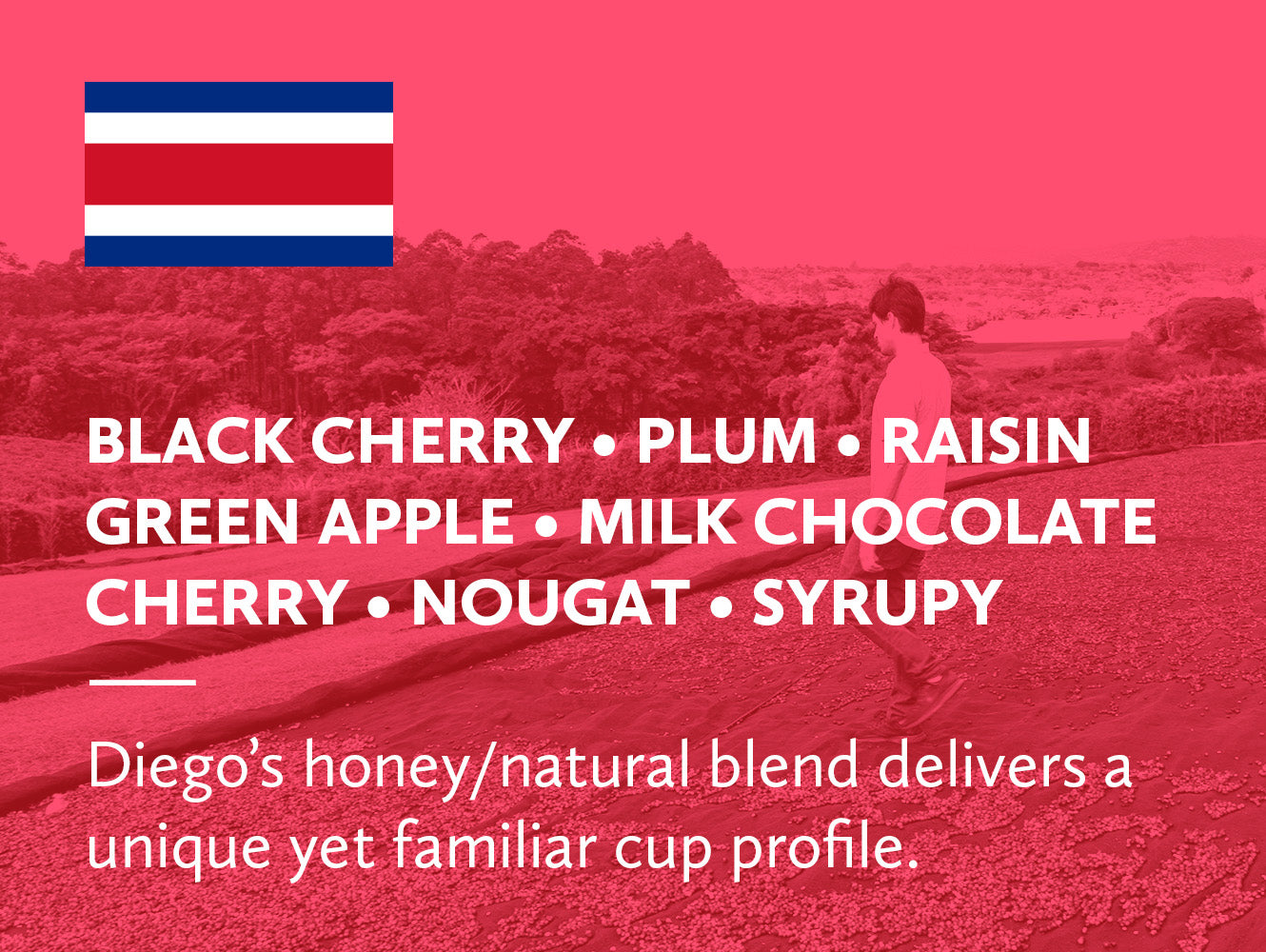 Costa Rica Hacienda Sonora Diego Guardia Honey Natural