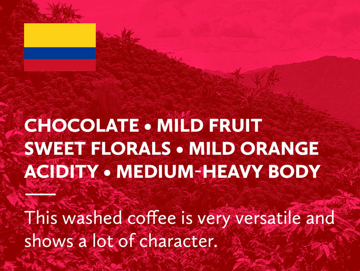 Colombia Huila Santuario Macizo Selection Washed