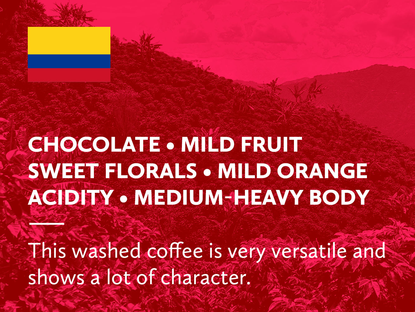 Colombia Huila Santuario Macizo Selection Washed