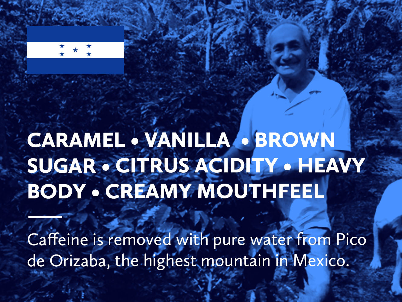 Honduras Marcala Honey Mountain Water Decaf
