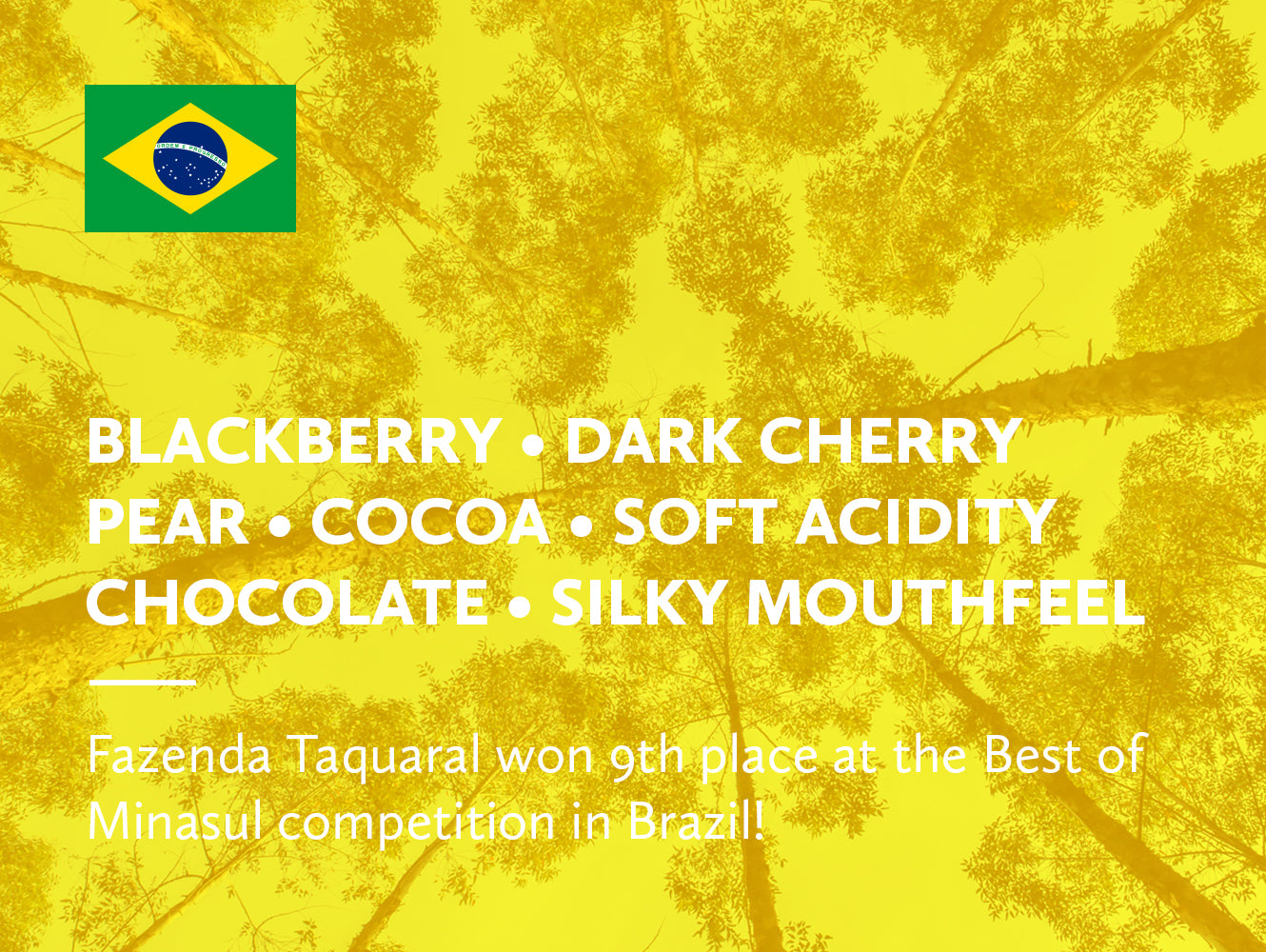 Brazilian flag on a yellow background with text for coffee tasting notes and a coffee competition.