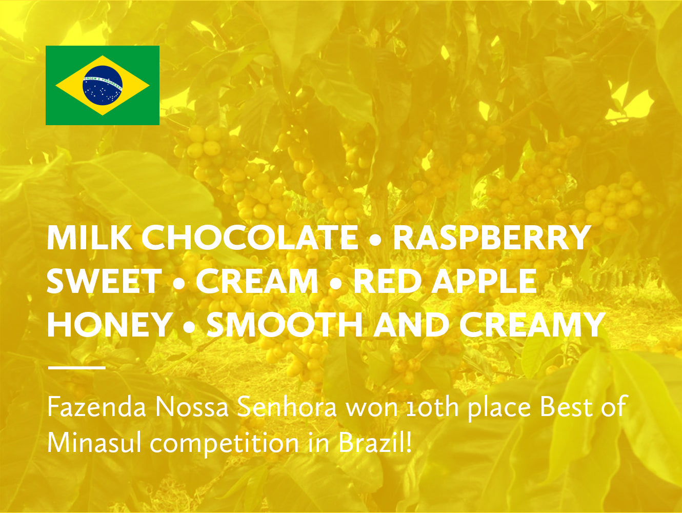 Coffee infographic with tasting notes.