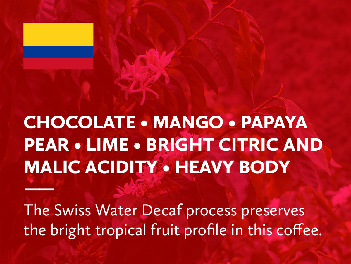 Coffee infographic with tasting notes.