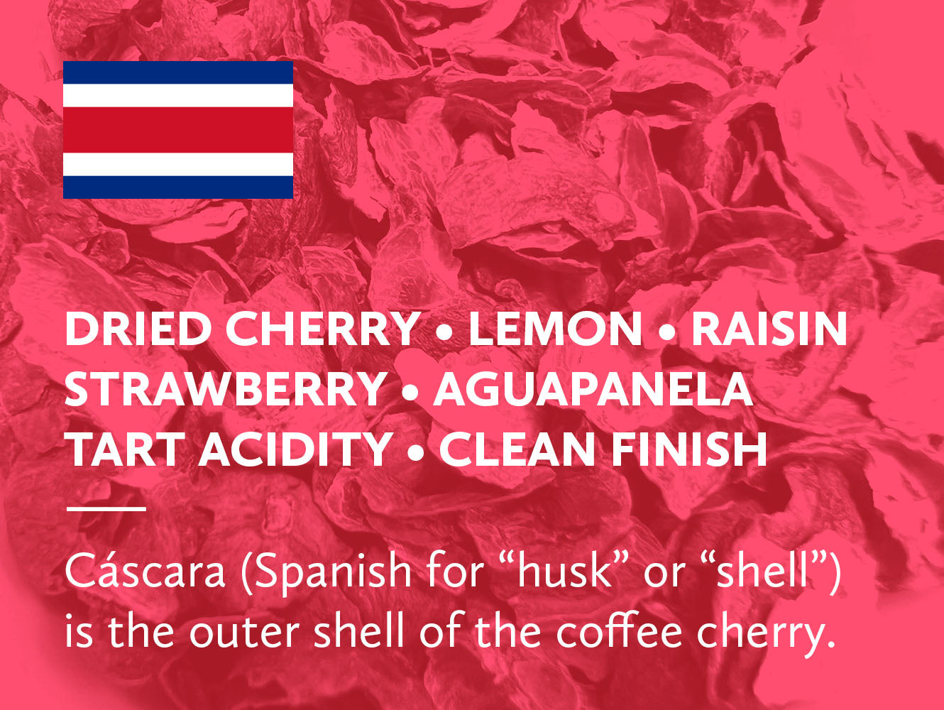 Infographic for cascara from Costa Rica with tasting notes. 