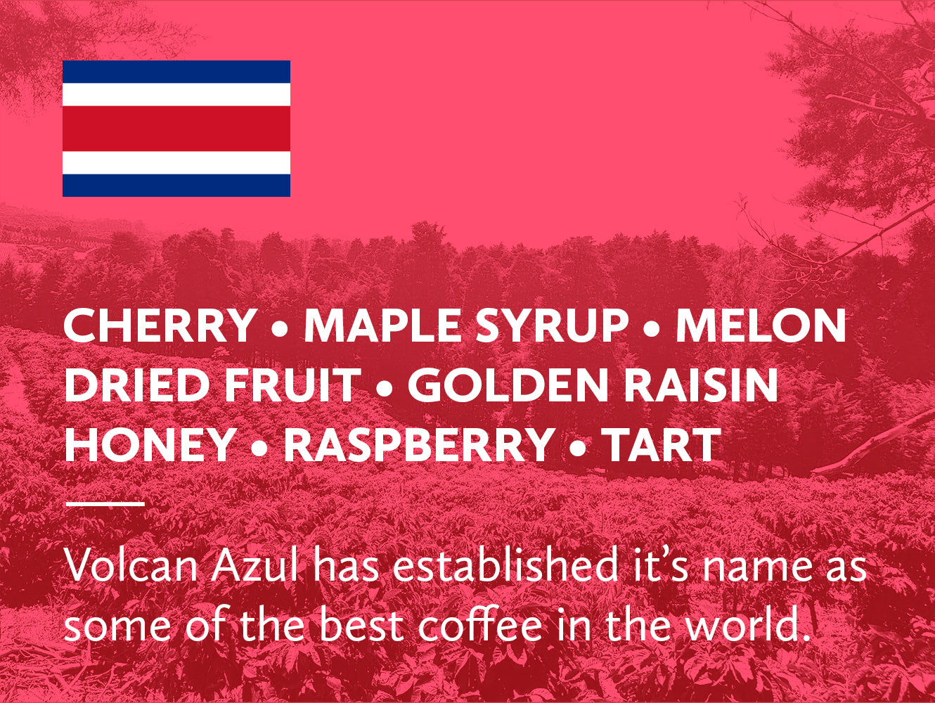 Coffee infographic with tasting notes and Costa Rican flag on a red background.