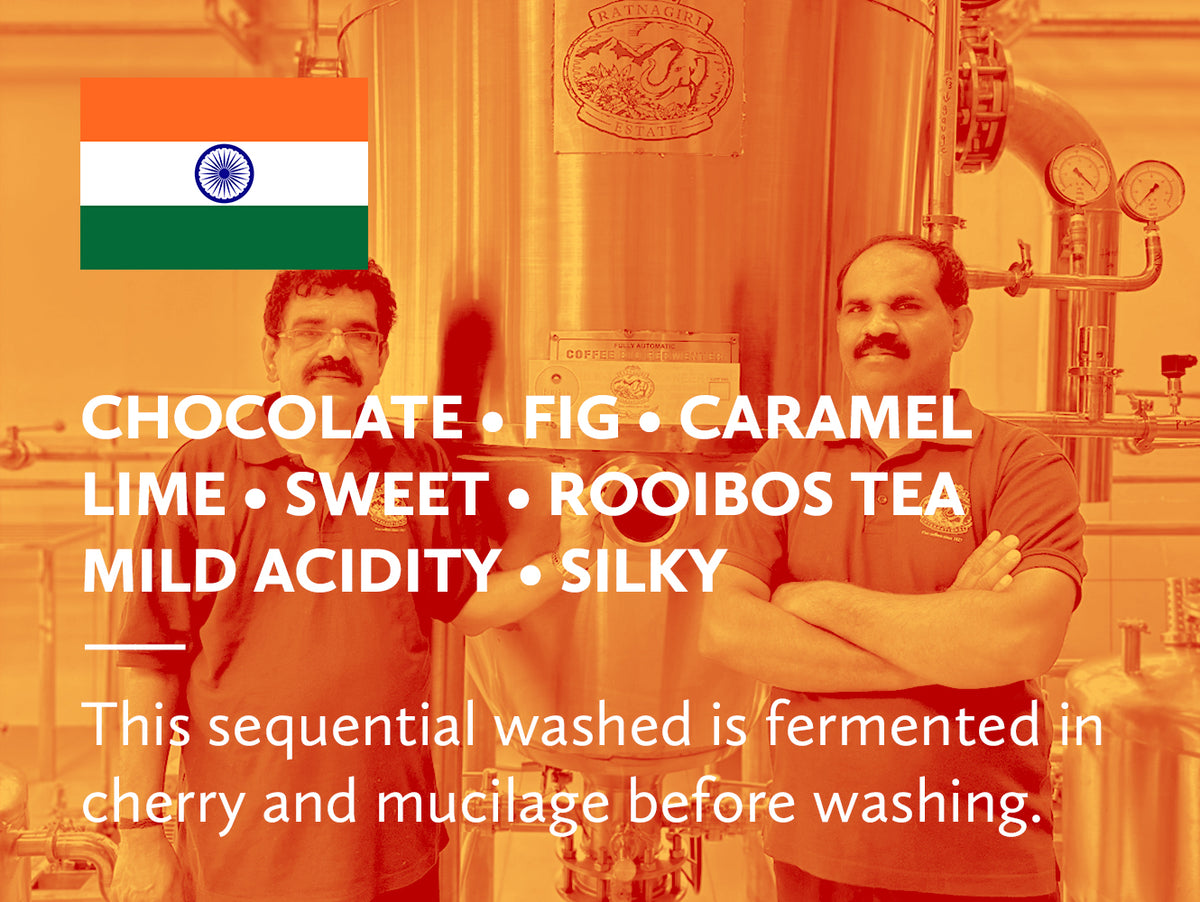 Coffee infographic with tasting notes and Indian flag on orange background.