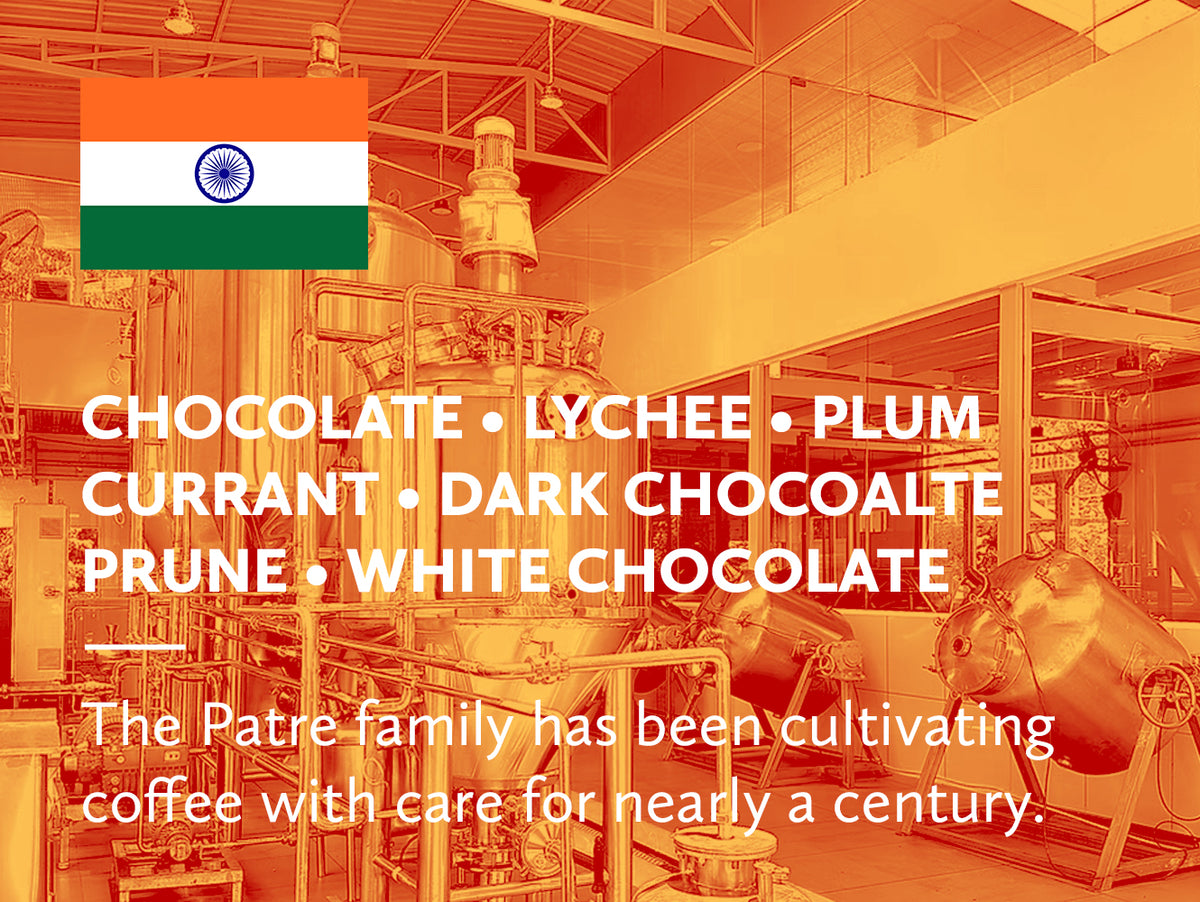 Coffee infographic with tasting notes and Indian flag on orange background.