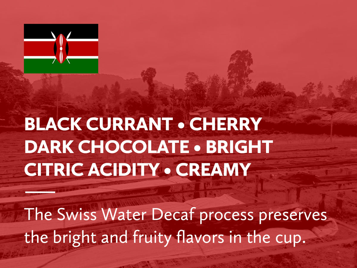 Swiss Water Decaf Kenya Nyeri Mutheka and Othaya Washed