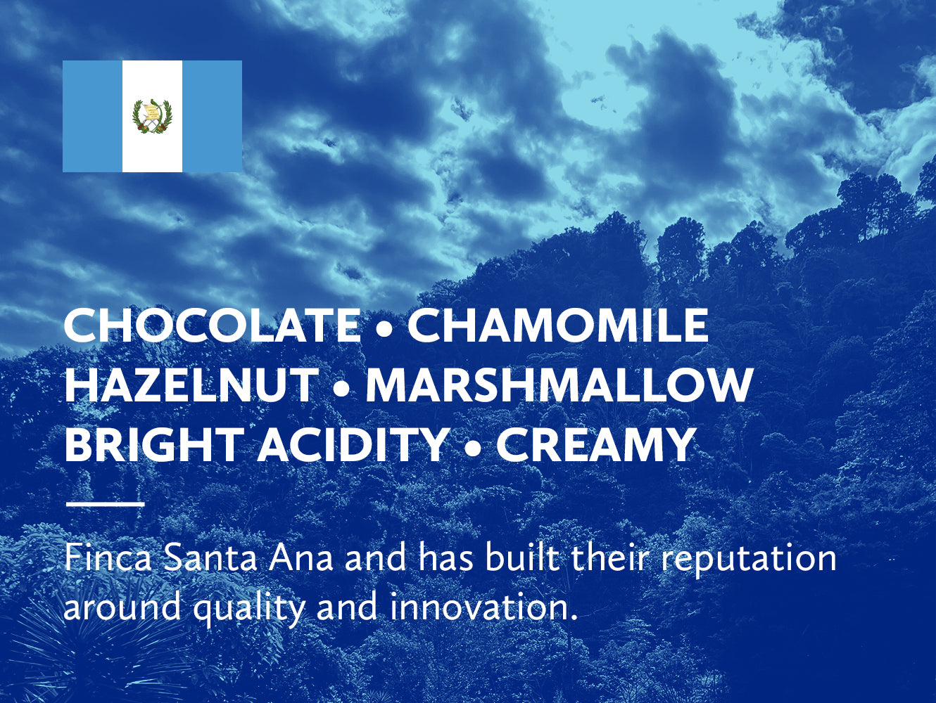 Coffee infographic with tasting notes and Guatemalan flag on a blue background.