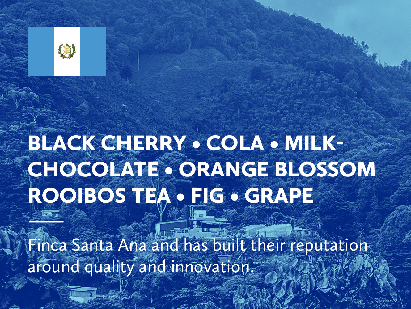 Coffee infographic with tasting notes and Guatemalan flag on a blue background.