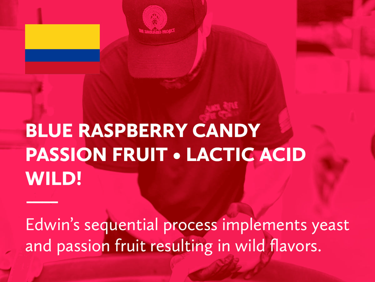 Coffee infographic with tasting notes