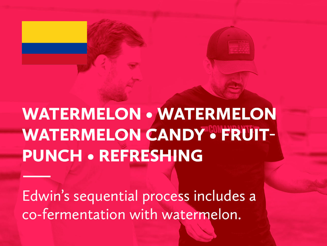 Colombia Quindío Campo Hermoso Edwin Noreña Co-Fermented Watermelon Mossto Honey
