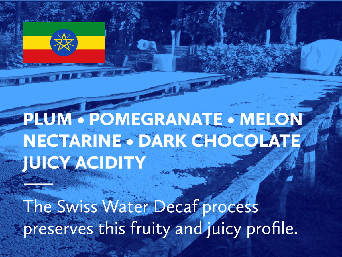 Coffee infographic with tasting notes