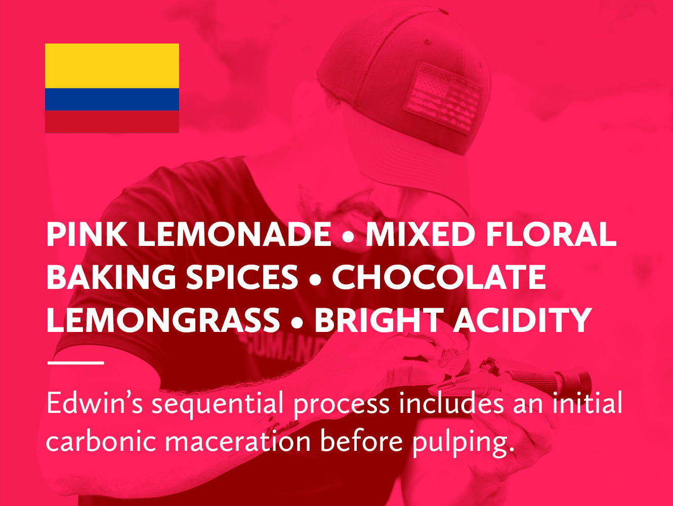 Colombia Quindío Campo Hermoso Edwin Noreña Sidra Carbonic Macerated Washed