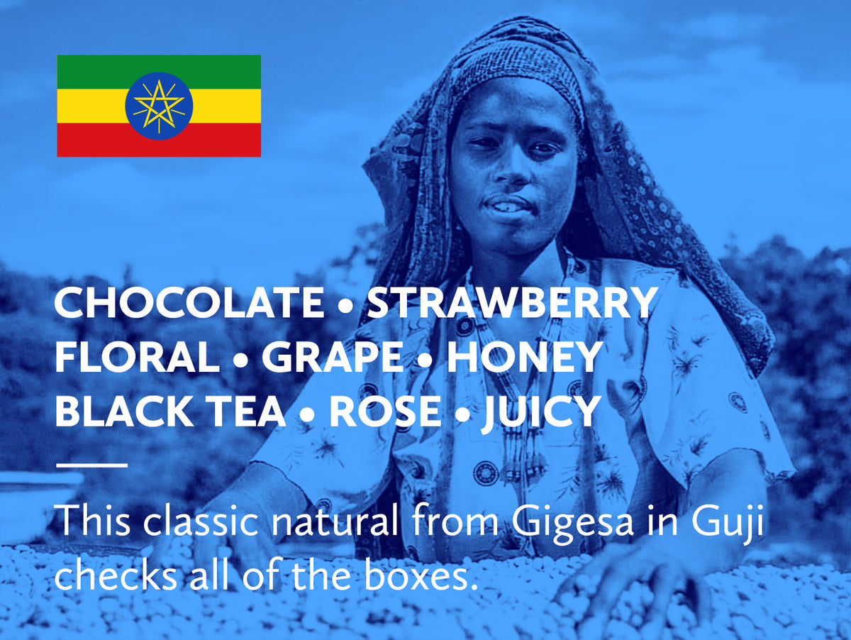Ethiopia Guji Shakiso Gigesa Natural