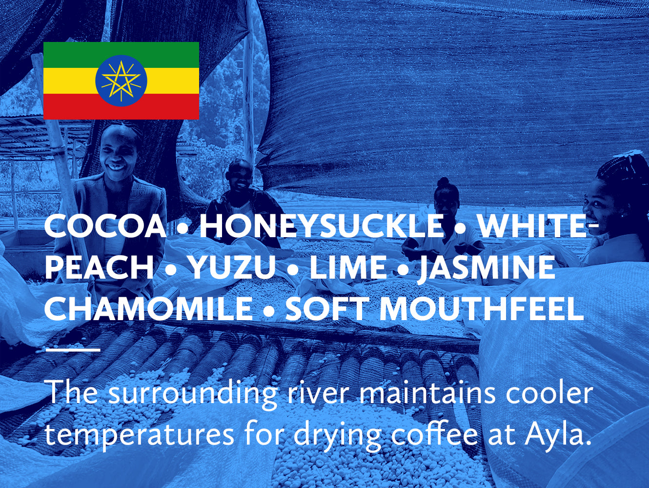 Coffee infographic with Ethiopian flag and tasting notes on a blue background