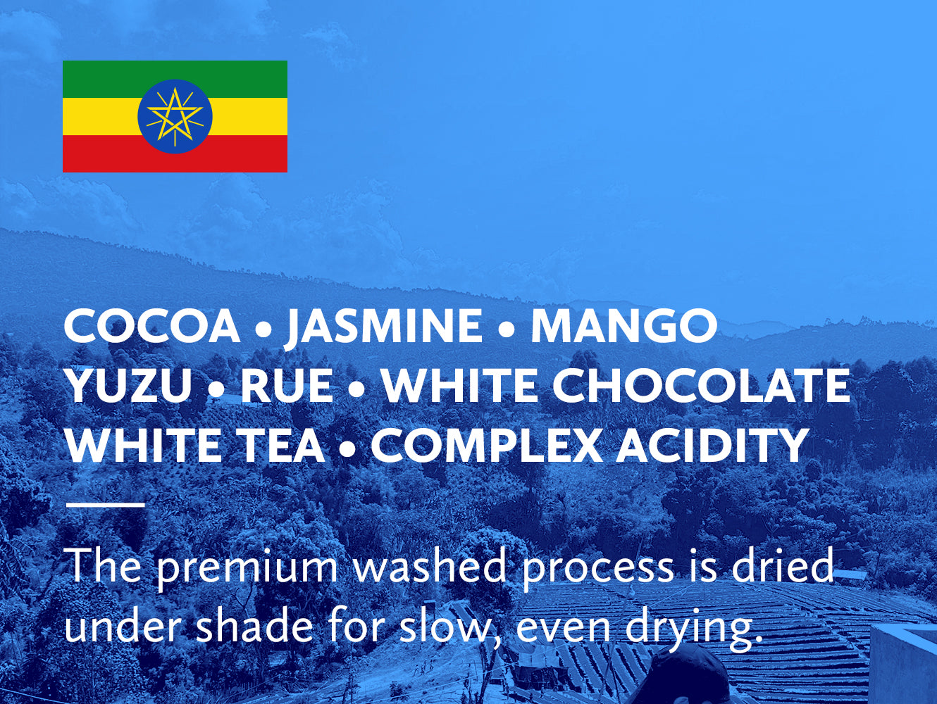 Coffee infographic with tasting notes and Ethiopian flag on blue background