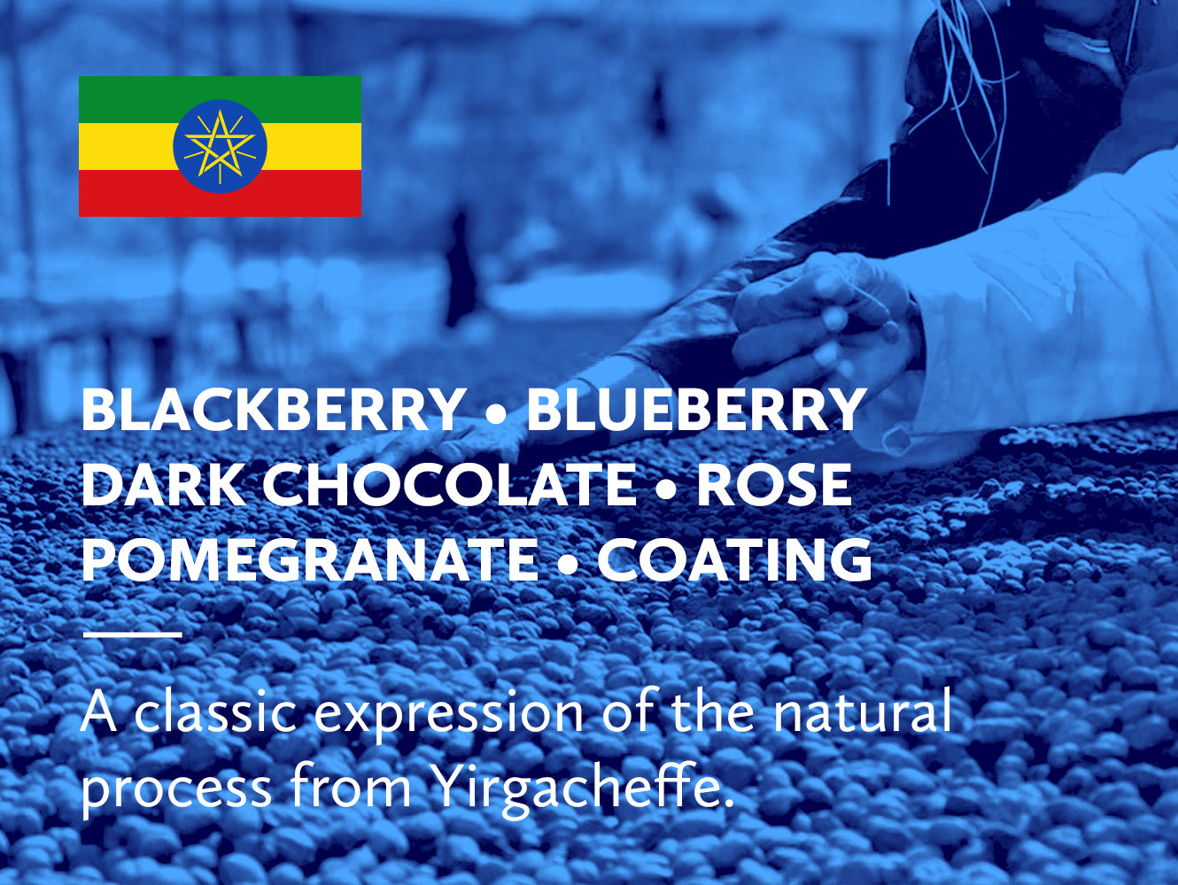 Coffee infographic with tasting notes and Ethiopian flag on a blue background.