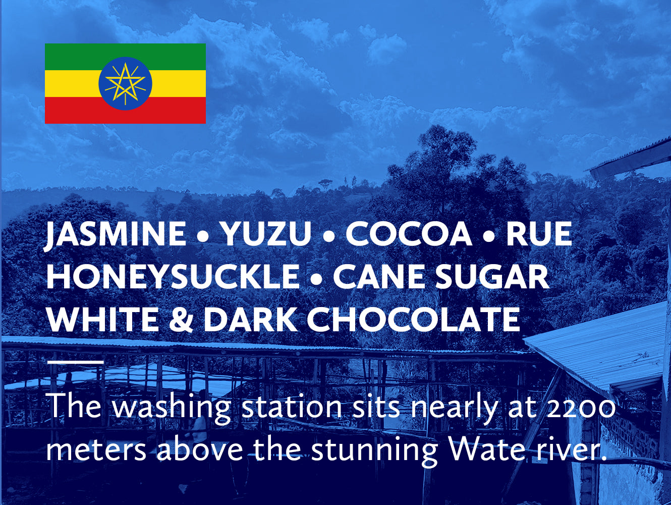 Coffee infographic with tasting notes and Ethiopian flag on a blue background.