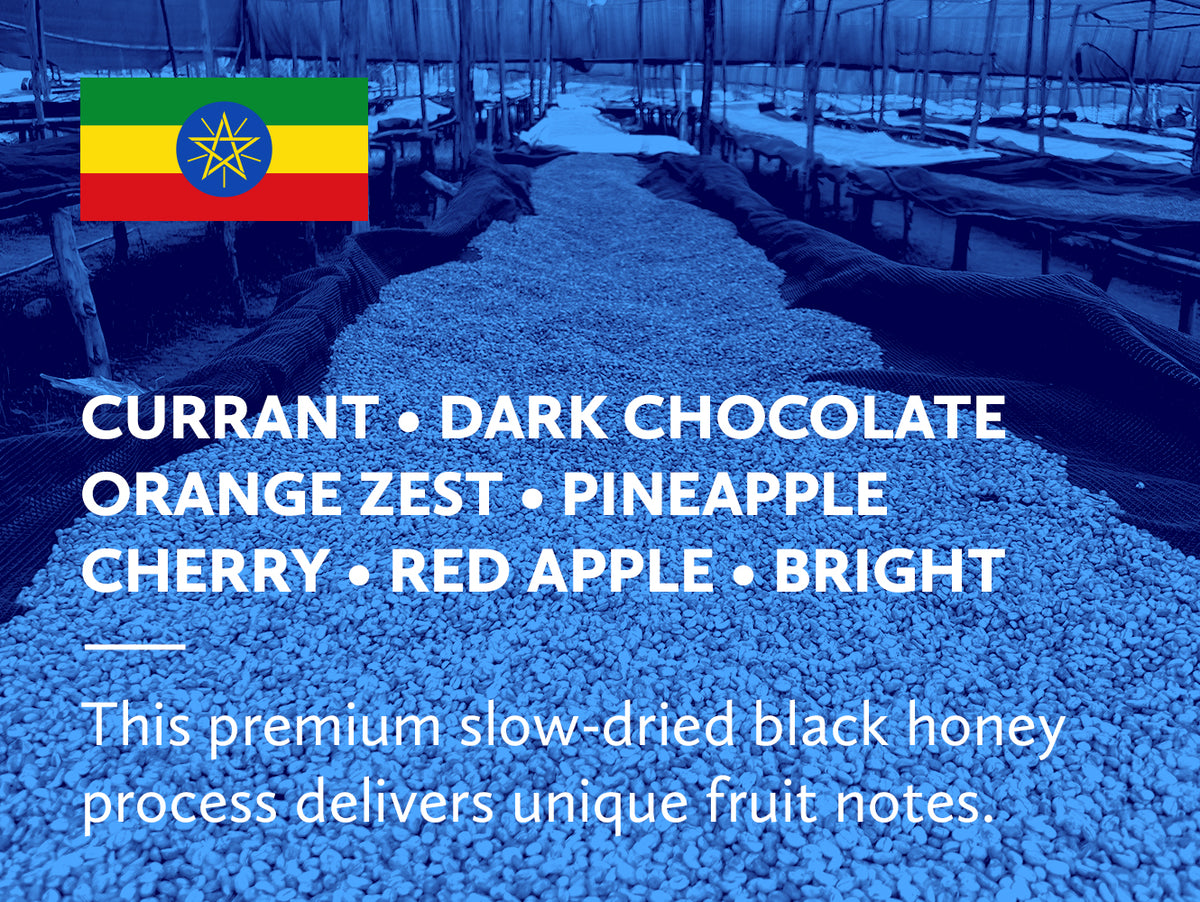 Coffee infographic with tasting notes and Ethiopian flag on a blue background.