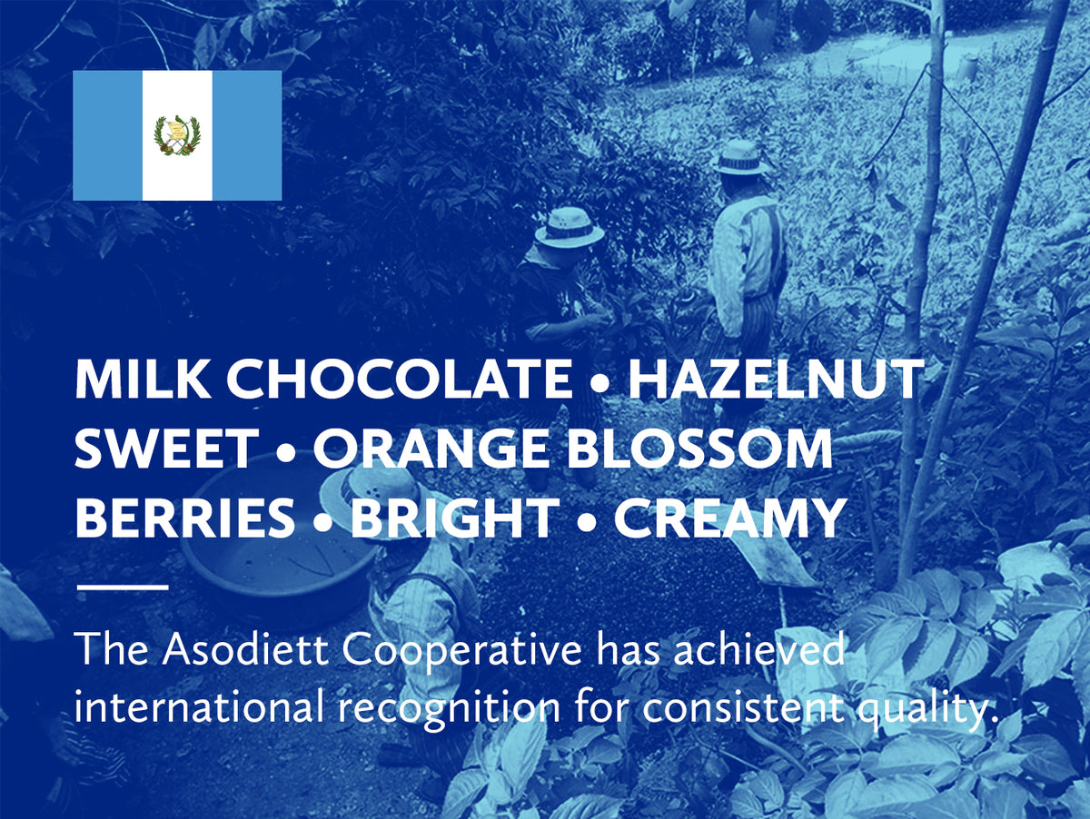 Guatemala Huehuetenango Cooperative Asodiett Txol Xaq