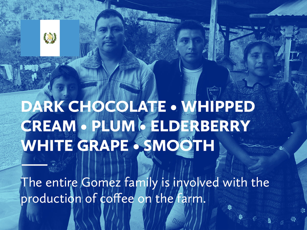 Coffee infographic with tasting notes and Guatemalan flag on a blue background.
