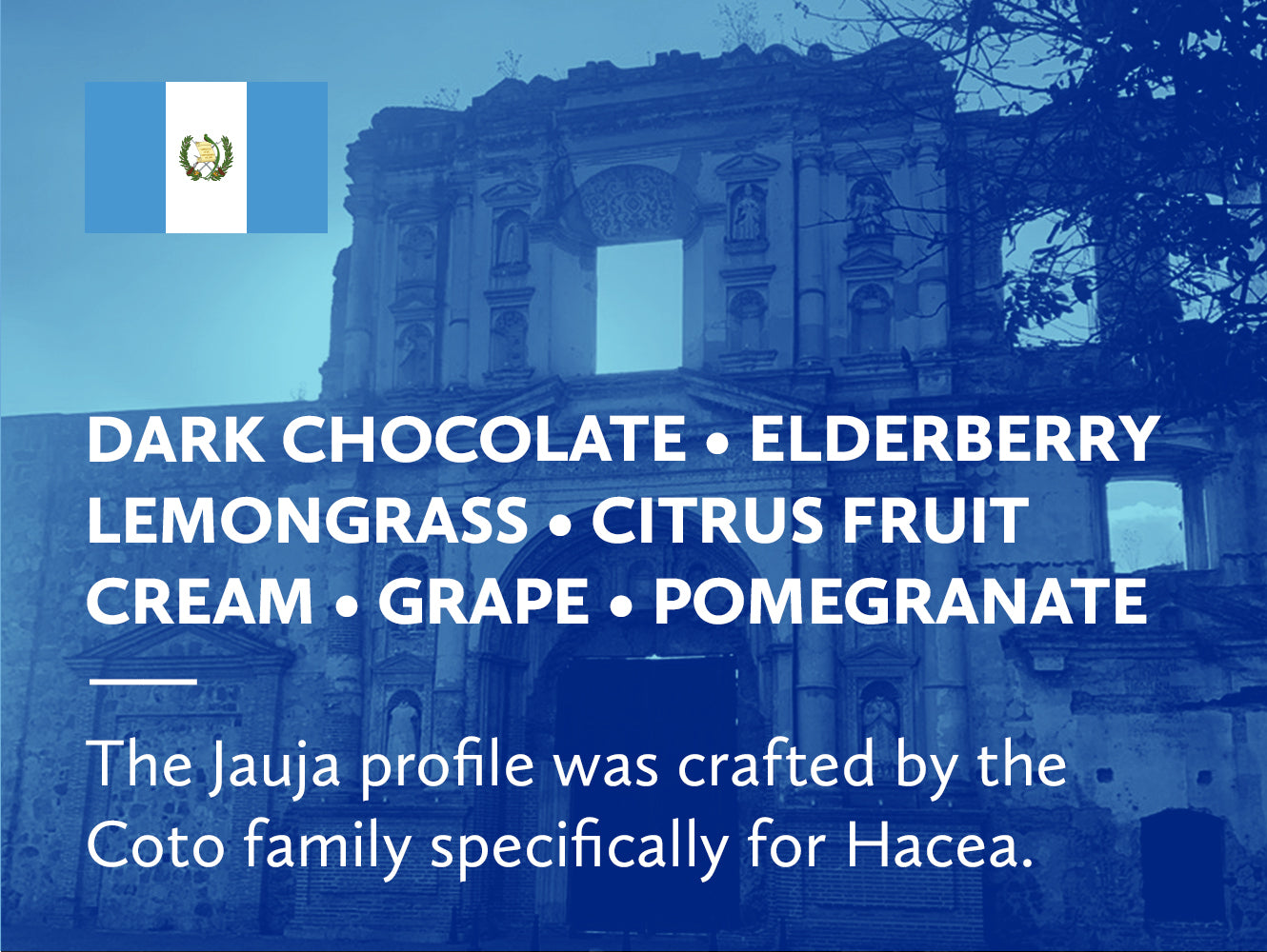 Coffee infographic with tasting notes and Guatemalan flag on blue background.