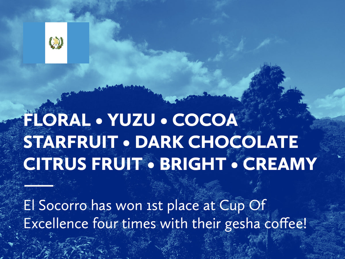 Mountain landscape with text describing coffee flavors and a Guatemalan flag.