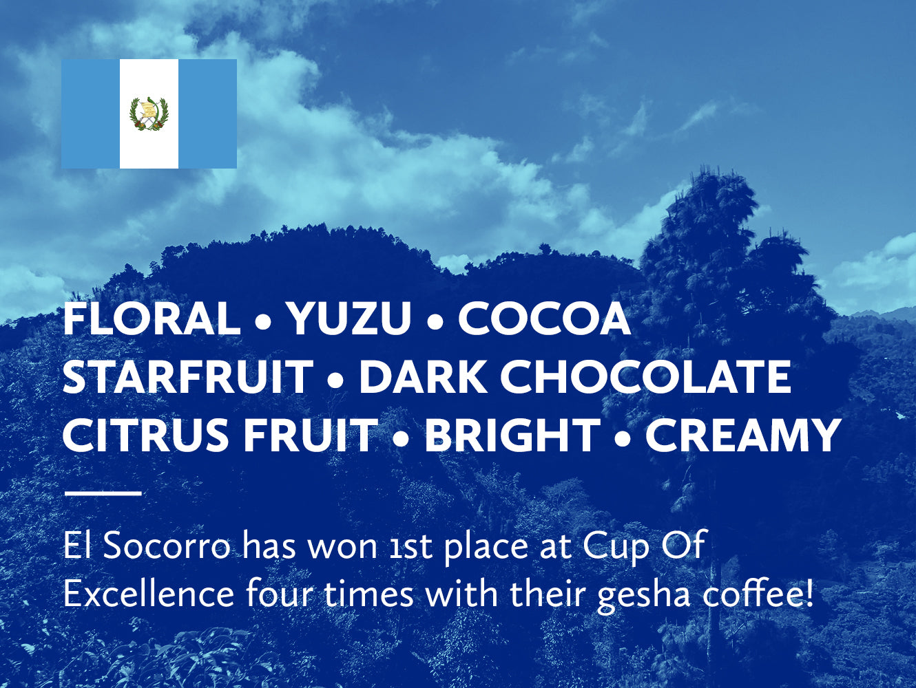 Mountain landscape with text describing coffee flavors and a Guatemalan flag.