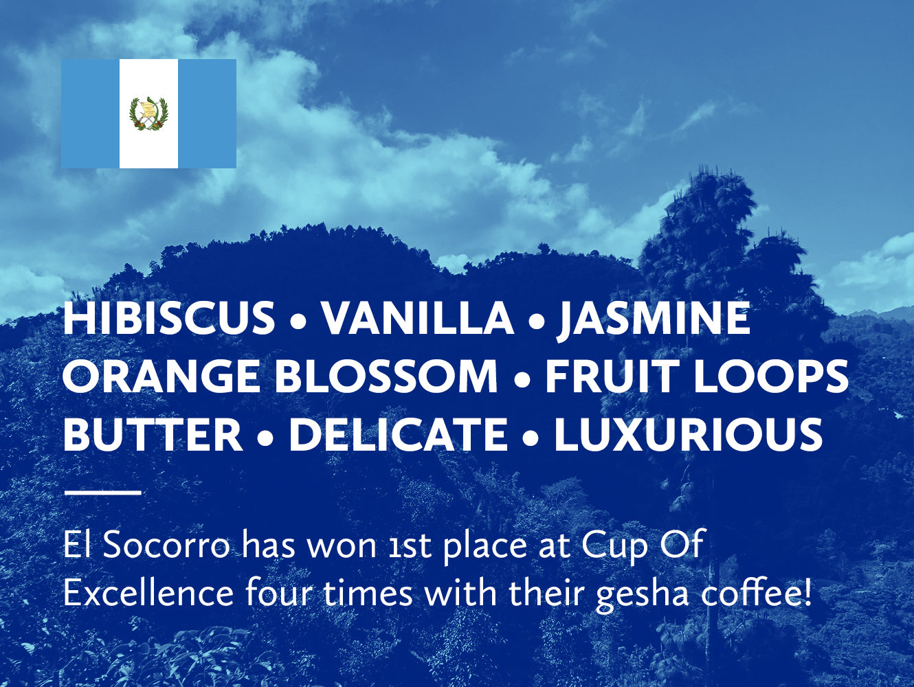 Guatemala Finca El Socorro Juan Diego de la Cerda Gesha