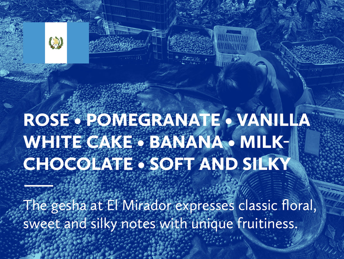 Infographic with coffee tasting notes and Guatemalan flag on a blue background.