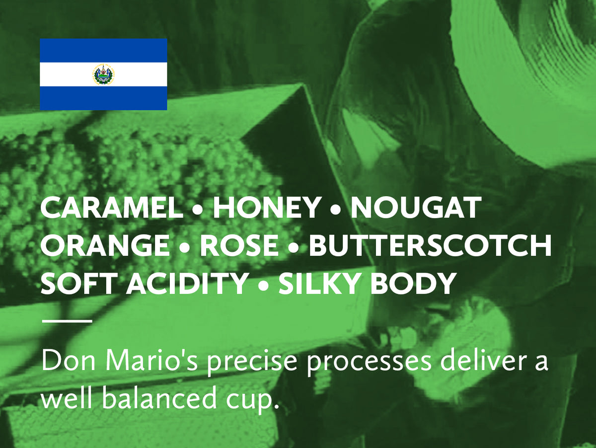 Coffee infographic with tasting notes and El Salvadoran flag on green background.